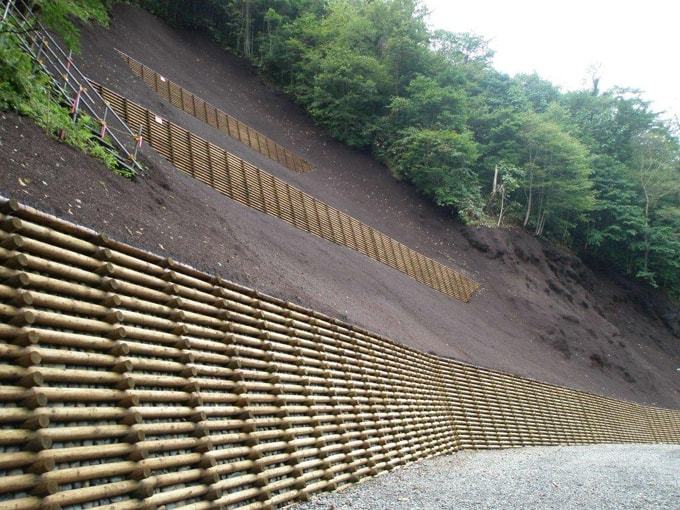 平成29年度：ペンケアイアン（1011林班）：北海道森林管理局十勝西部森林管理署