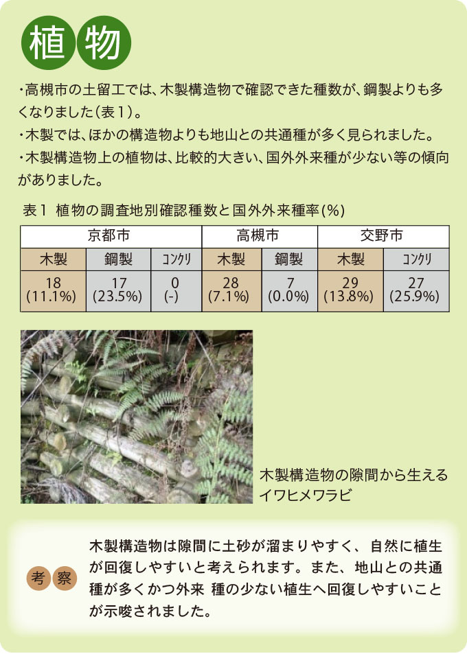 植物の植生状況をまとめた結果