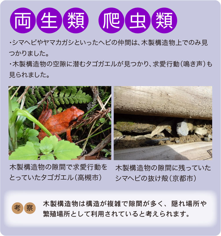 両生類の生息状況をまとめた結果