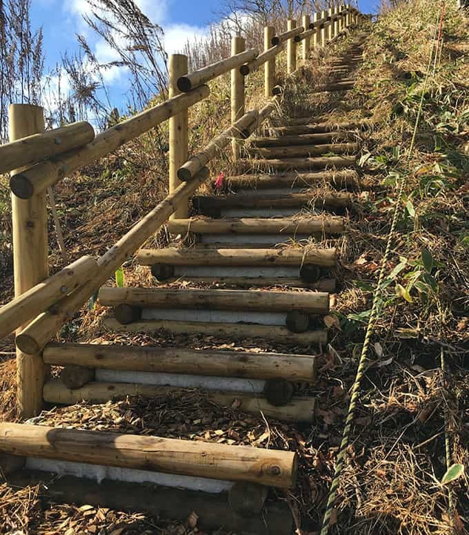 榊町神社裏予防治山工事