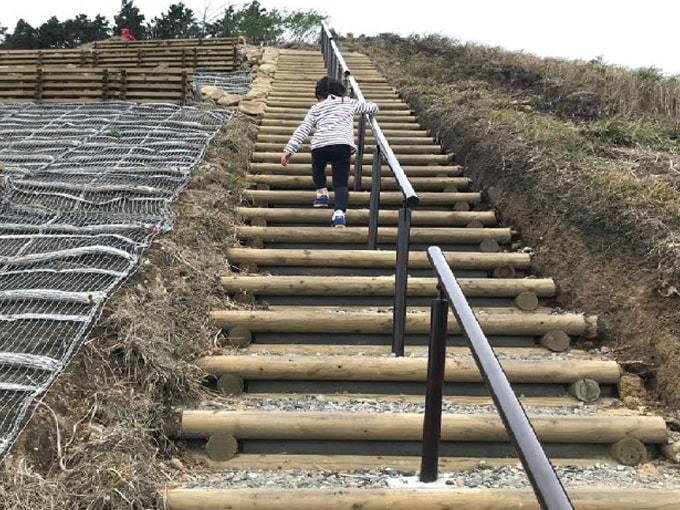 曾爾高原園地遊歩道整備工事